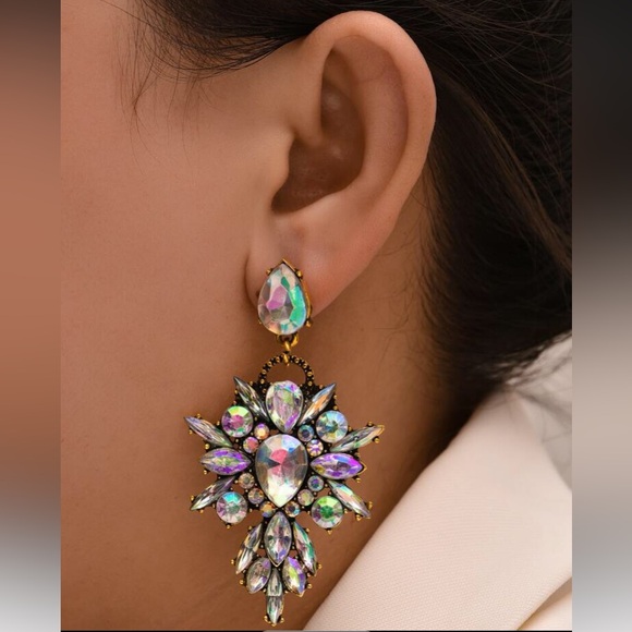 Elegant Multicolor Statement Earrings